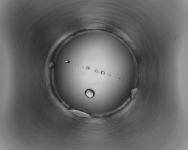 X0000113931122200910021237