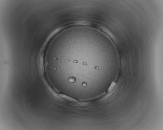 X0000113931123200910021237