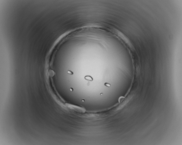 X0000113931124200910021237