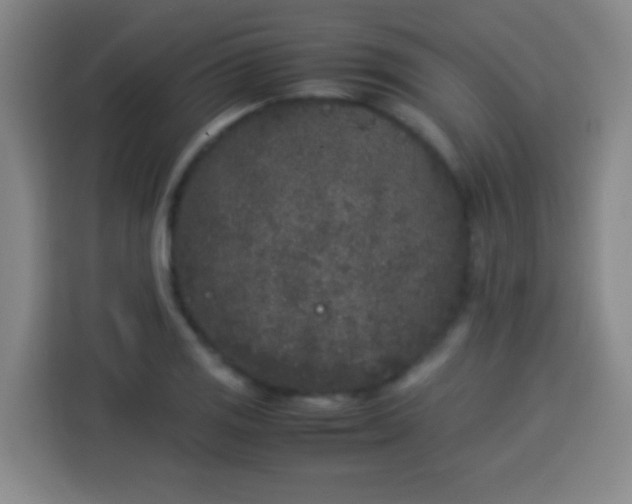 X0000113931125200910021237