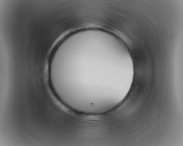 X0000113931126200910021237