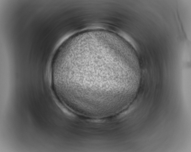 X0000113931127200910021237