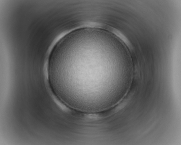 X0000113931128200910021237
