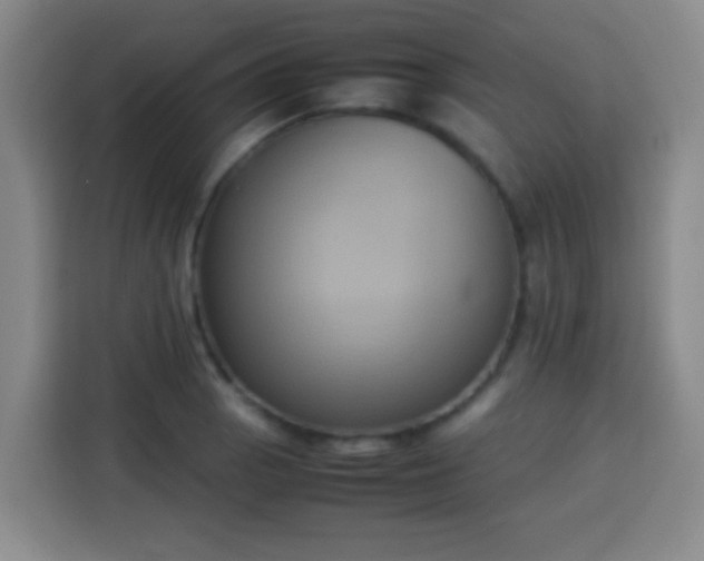 X0000113931129200910021237