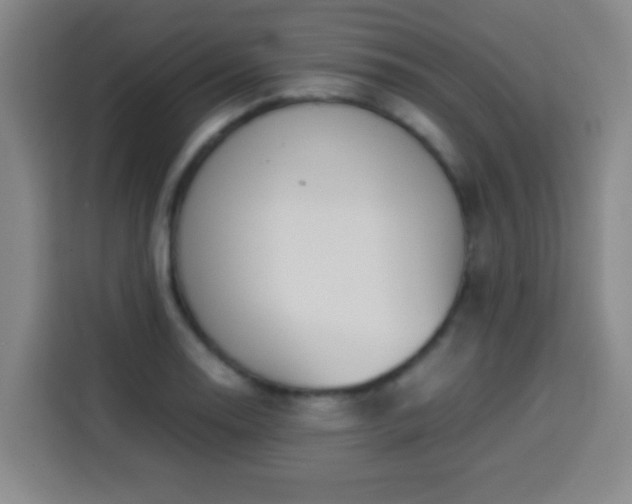 X0000113931130200910021237