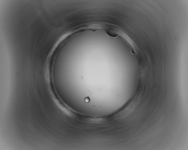 X0000113931131200910021237