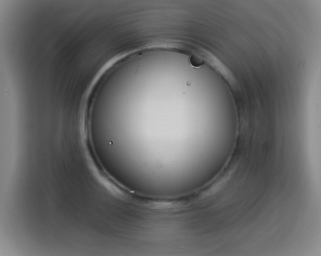 X0000113931132200910021237