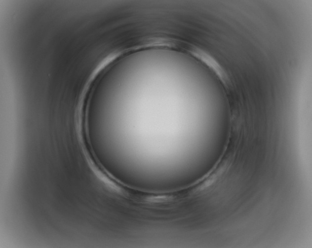 X0000113931135200910021237