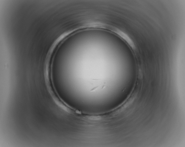 X0000113931136200910021237