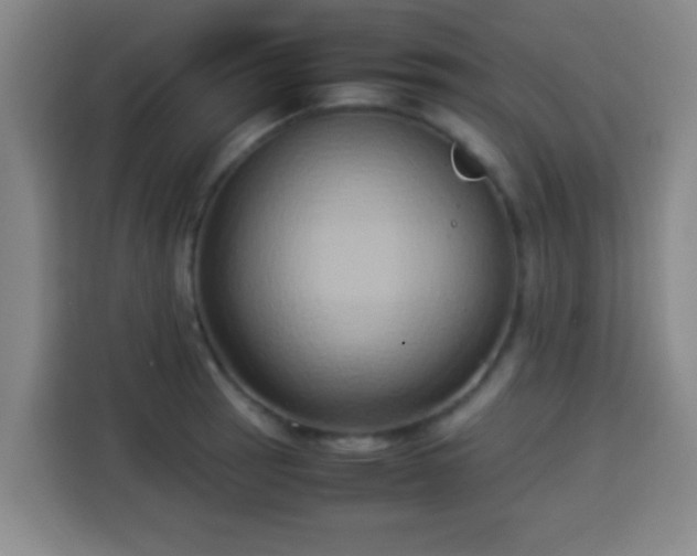 X0000113931137200910021237