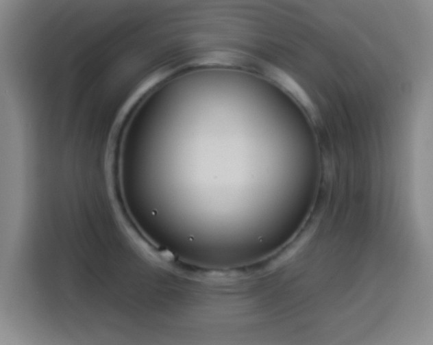X0000113931138200910021237