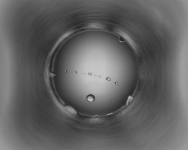 X0000113931139200910021237