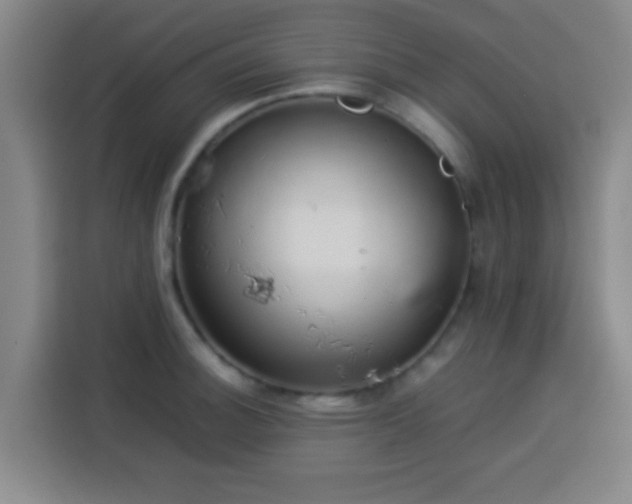 X0000113931140200910021237