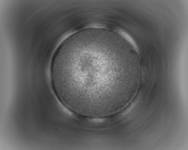 X0000113931141200910021237