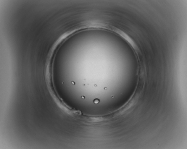 X0000113931144200910021237