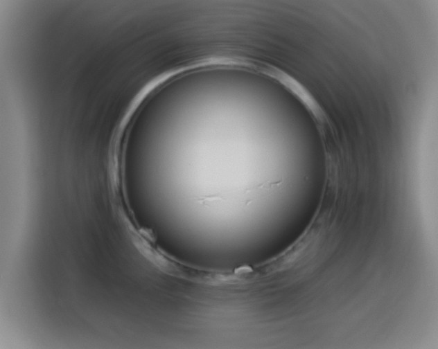 X0000113931148200910021237