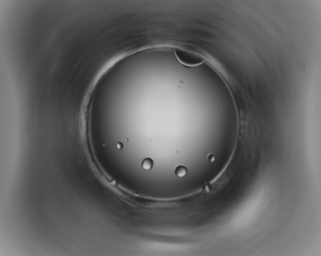 X0000113931151200910021237