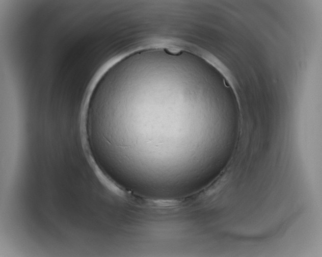 X0000113931152200910021237