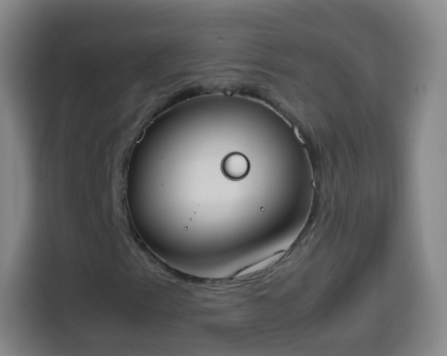 X0000113931153200910021236