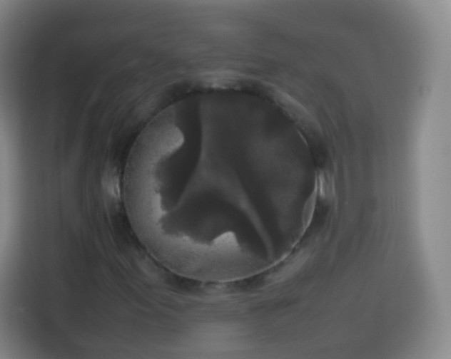 X0000113931155200910021236