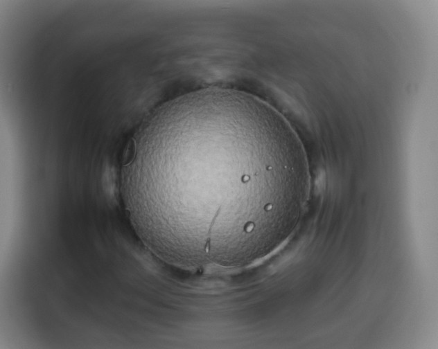 X0000113931156200910021236