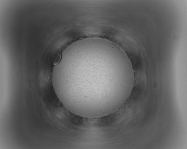 X0000113931157200910021236