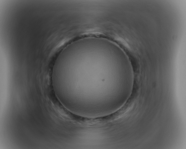 X0000113931159200910021236