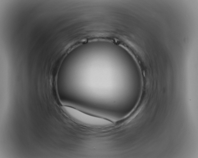 X0000113931161200910021236