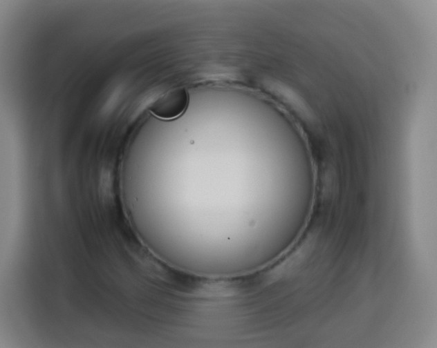 X0000113931162200910021236