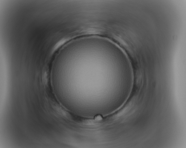 X0000113931163200910021236