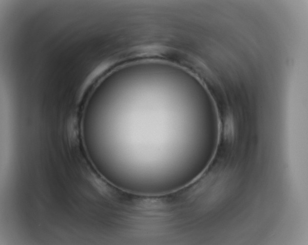 X0000113931164200910021236