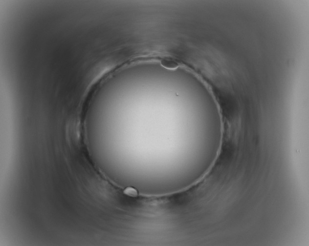 X0000113931165200910021236