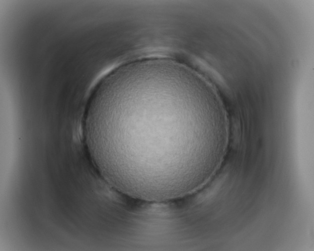 X0000113931166200910021236