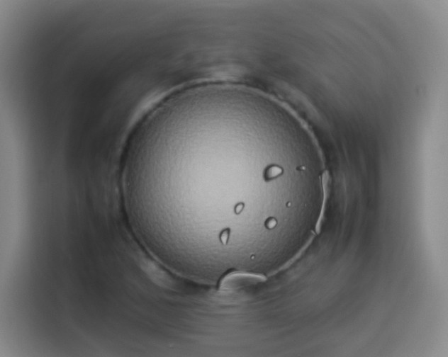 X0000113931168200910021236