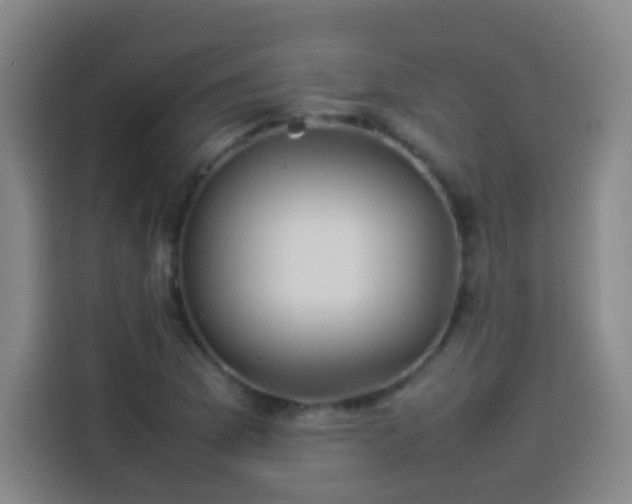 X0000113931169200910021236