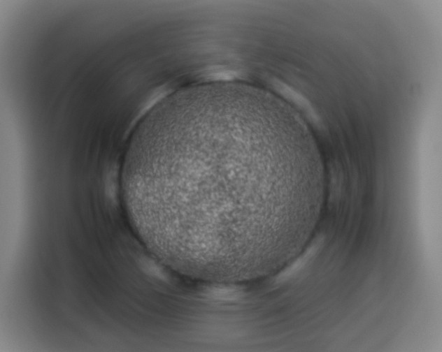 X0000113931170200910021236