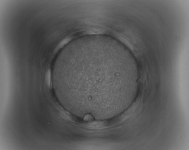 X0000113931171200910021236