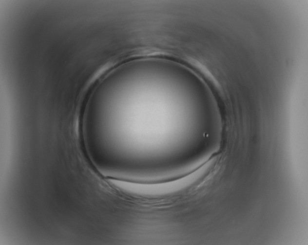 X0000113931173200910021236