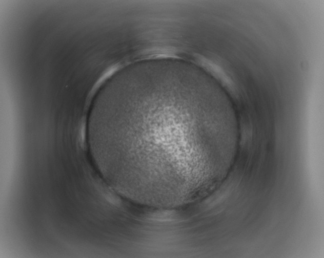 X0000113931174200910021236