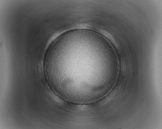 X0000113931176200910021236