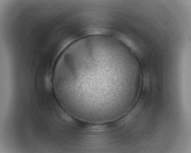 X0000113931178200910021236