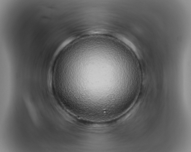 X0000113931179200910021236