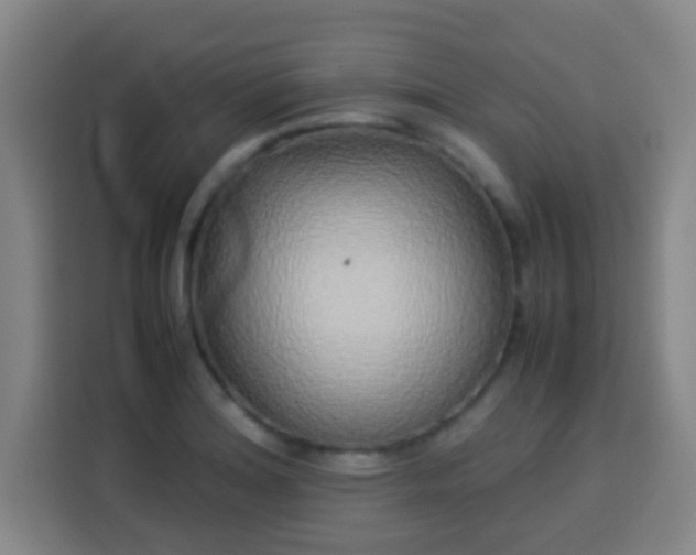 X0000113931180200910021236