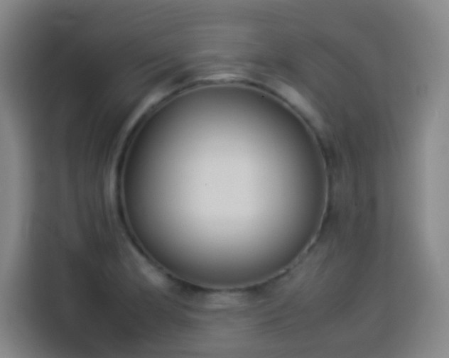 X0000113931181200910021236