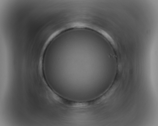 X0000113931183200910021236