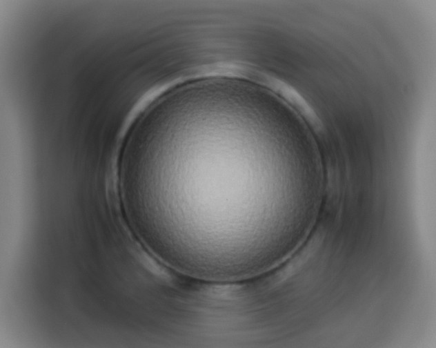 X0000113931184200910021236
