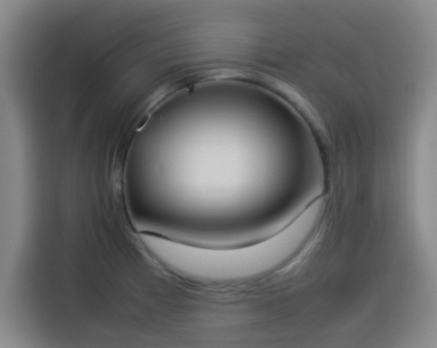 X0000113931185200910021236