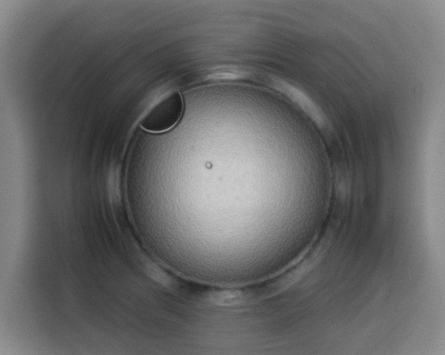 X0000113931186200910021236