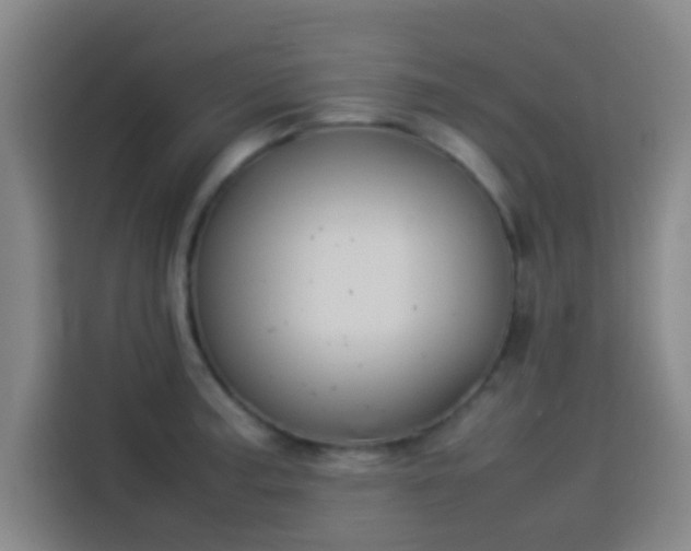 X0000113931187200910021236