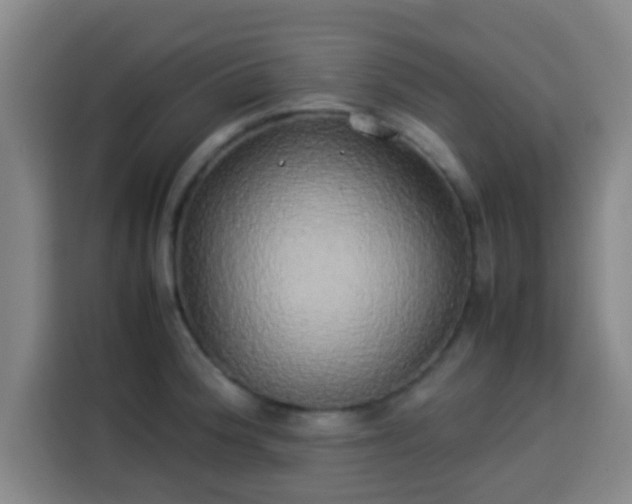 X0000113931188200910021236